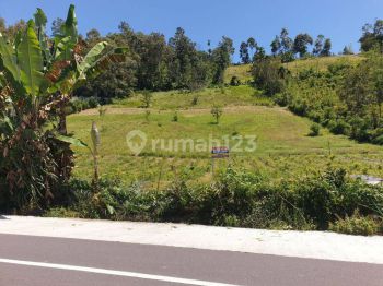 TANAH KEBUN DI SUKAU LAMPUNG BARAT