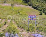thumbnail-tanah-kebun-di-sukau-lampung-barat-1